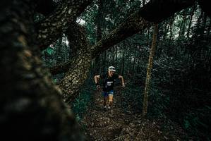 BIB: 
                            <button type="button" onclick="openModal(25683525)" class="btn btn-primary btn-sm float-right btn-popup" data-toggle="modal" data-target=".modal-high-quality">
                        <i class="fas fa-shopping-cart"></i> Add to Cart
                    </button>
                                            <button type="button" onclick="isThisMe(25683525, true)" class="btn btn-success btn-sm float-right btn-popup btn-isme hidden" data-toggle="tooltip" data-placement="bottom" title="นี่คือรูปของคุณใช่ไหม คลิกที่นี่เพื่อเอาเข้าอัลบั้ม">
                        <i class="fas fa-plus"></i> Add to album
                    </button>
                    <button type="button" onclick="isThisMe(25683525, false)" class="btn btn-warning btn-sm float-right btn-popup btn-isnotme hidden">
                        <i class="fas fa-ban"></i> Remove from album
                    </button>